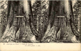 Yosemite - Stereo Card - Yosemite