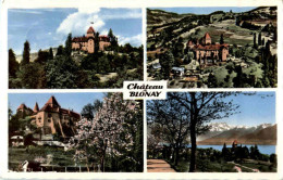 Chateau Blonay - Blonay - Saint-Légier