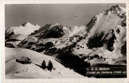 Moleson - Chalet Du Hochberg - Sonstige & Ohne Zuordnung