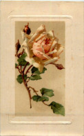 Catherina Klein - Rose - Klein, Catharina