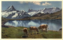 Grindelwald - Bachsee - Grindelwald