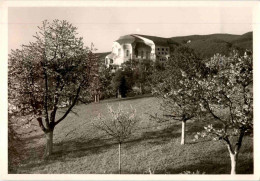 Goetheanum In Dornach - Dornach