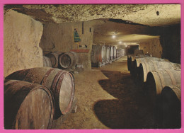 D37 - CHINON - DANS LE ROC SOUS LE CHÂTEAU - LES CAVES PLOUZEAU - CPM Grand Format  - Chinon