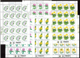 Moldova 2024 Wild Flowers 6Sheets**MNH - Moldavia