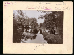 Fotografie Brück & Sohn Meissen, Ansicht Neustadt I. Sa., Teich Im Artur-Richter-Park  - Orte