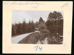 Fotografie Brück & Sohn Meissen, Ansicht Bad Elster, Albert-Park Mit Teich Und Rundweg  - Lieux