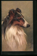 Künstler-AK Portrait Eines Collies  - Chiens