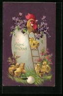 Präge-AK Hahn Im Ei Mit Osterküken  - Ostern