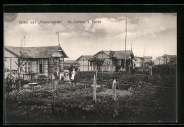 AK Gross-Ziethen, Schrebergarten-Anlage Warnershöh  - Autres & Non Classés