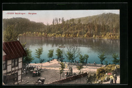 AK Säckingen, Blick Auf Den Bergsee Mit Gaststätte  - Bad Saeckingen