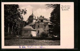 AK Bad Kreischa, Blick Auf Das Sanatorium, Parkvilla  - Kreischa