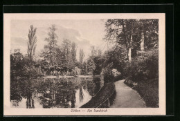 AK Cöthen, Wanderweg Am Buschteich  - Sonstige & Ohne Zuordnung