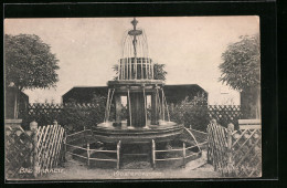 AK Bad Teinach, Klosterbrunnen Hinter Zäunen  - Bad Teinach