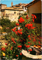 30-4-2024 (3 Z 28) France - Fleurs Et Puit Sur La Côte D'Azur - Blumen