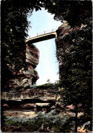 30-4-2024 (3 Z 28) France - Colorised - Le Pont Du Diable (Haut-Barr) - Brücken