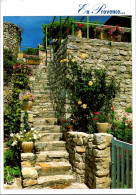 30-4-2024 (3 Z 28) France - Escalier Et Fleurs En Provence - Bloemen