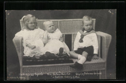 AK Prinzess Sybille, Prinz Dietmar Hubertus, Erbprinz Johann-Leopold Von Sachsen-Coburg-Gotha  - Königshäuser