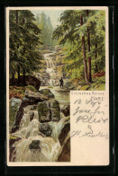 Lithographie Hasserode /Harz, Steinerne Renne Mit Wasserfall  - Sonstige & Ohne Zuordnung