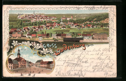 Lithographie Waldenburg I. Sa., Gesamtansicht, Marktplatz Mit Rathaus  - Waldenburg (Sachsen)