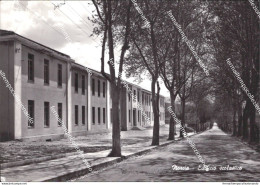 Al805 Cartolina Norcia Edificio Scolastico Provincia Di  Perugia - Perugia