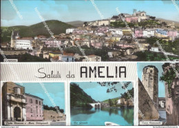 Al809 Cartolina Saluti Da Amelia Provincia Di Terni Umbria - Terni