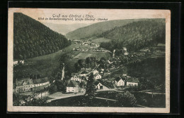 AK Ohrdruf I. Thür., Blick In Den Schwarzwaldgrund Mit Strasse Ohrdruf-Oberhof  - Oberhof