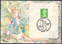 Great Britain 2007 Cancellation Tokyo On Card Peter Rabbit (jt1200-2) - Andere & Zonder Classificatie