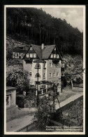 AK Rathen /Sa., Fremdenheim Haus Sonnenblick Mit Strasse Und Wald  - Rathen