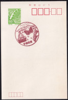Japan Scenic Postmark, Butterfly Buddha Ginkgo (js5415) - Otros