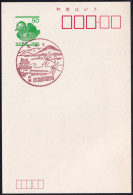 Japan Scenic Postmark, Dragonfly (js5422) - Otros