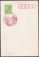 Japan Scenic Postmark, Butterfly (js5419) - Otros