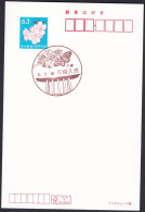 Japan Scenic Postmark, Butterfly (js5429) - Otros