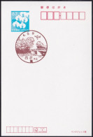 Japan Scenic Postmark, Aircraft (js5411) - Otros