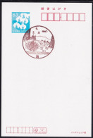 Japan Scenic Postmark, Aircraft (js5407) - Otros