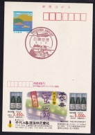 Japan Scenic Postmark, Hiroshima Airport (js5400) - Otros