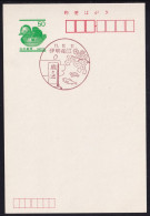 Japan Scenic Postmark, Fish Turtle (js5389) - Otros