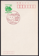 Japan Scenic Postmark, Fish Shell (js5381) - Otros