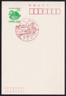 Japan Scenic Postmark, Shinkansen (js5384) - Otros