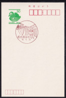 Japan Scenic Postmark, Train (js5366) - Otros