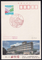 Japan Scenic Postmark, Turtle Grape (js5357) - Otros