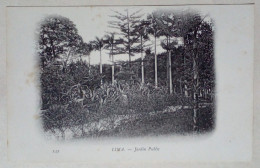 Carte Postale - Jardin Public, Lima, Pérou. - Perù