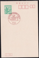 Japan Commemorative Postmark, 1973 Oou Line Electrification Train (jci6074) - Otros