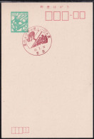 Japan Commemorative Postmark, 1971 Ski (jci6057) - Otros