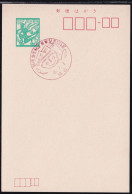 Japan Commemorative Postmark, 1971 Postal Code Number-kun (jci6053) - Otros