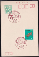 Japan Commemorative Postmark, 1971 Mouri Motonari Arrow (jci6055) - Other