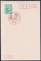 Japan Commemorative Postmark, 1971 Shotoku Taishi 1350 Years (jci6051) - Otros