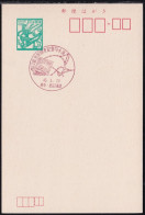 Japan Commemorative Postmark, 1971 Nishinippori Station Train (jci6048) - Otros