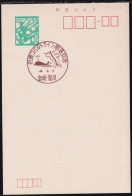 Japan Commemorative Postmark, 1971 Oshika Drive Whale (jci6040) - Otros