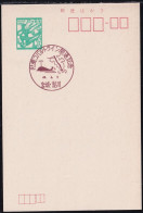 Japan Commemorative Postmark, 1971 Oshika Drive Whale (jci6040) - Autres