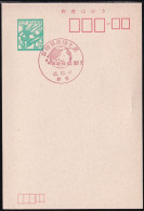 Japan Commemorative Postmark, 1970 Stamp Exhibition Grove (jci6017) - Otros